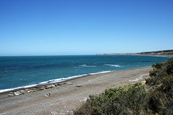Argentina