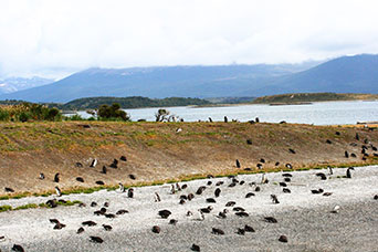 Argentina