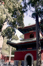 Pechino