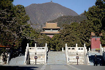 Pechino