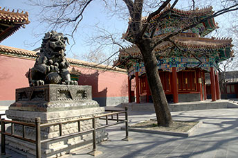Pechino