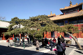 Pechino