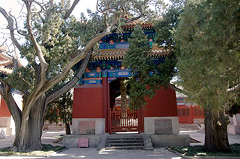 Pechino