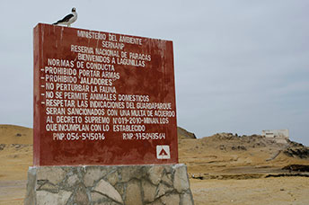 Perù