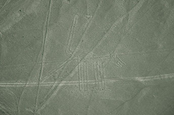 Perù