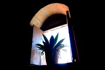 Perù