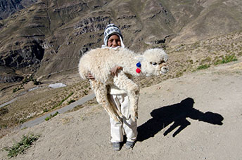 Perù