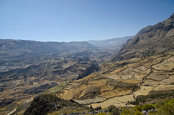 Perù