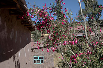Bolivia