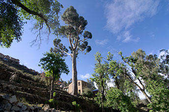 Bolivia