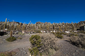 Bolivia