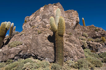 Bolivia