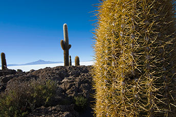 Bolivia