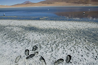 Bolivia