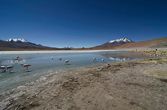 Bolivia