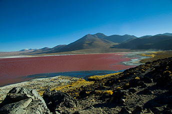 Bolivia