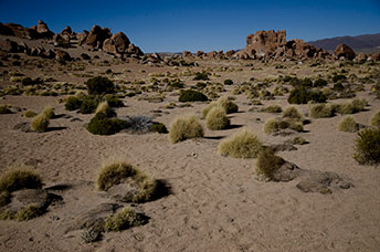 Bolivia