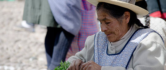 Bolivia