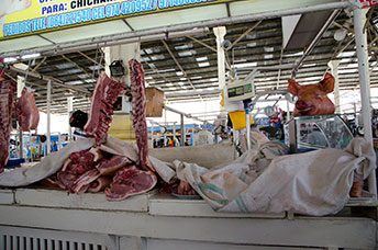 Perù