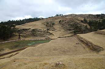 Perù