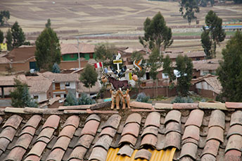 Perù