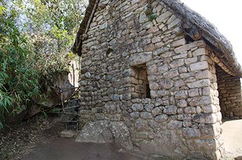 Perù
