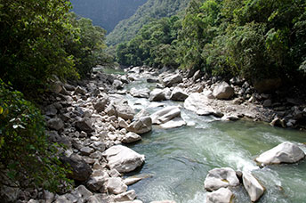 Perù