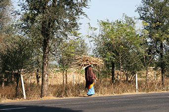 Rajasthan