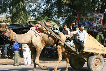 Rajasthan