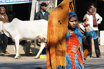 Rajasthan