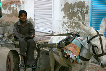 Rajasthan