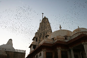 Rajasthan