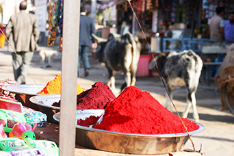Rajasthan