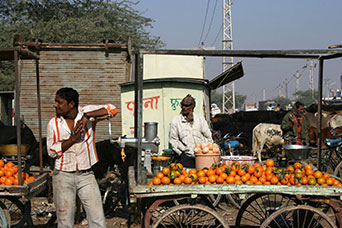 Rajasthan