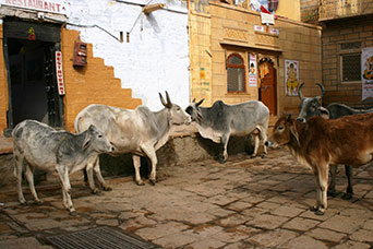 Rajasthan