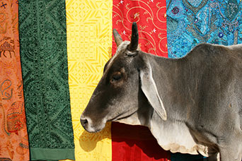 Rajasthan