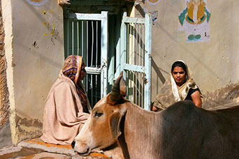 Rajasthan
