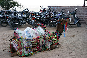 Rajasthan