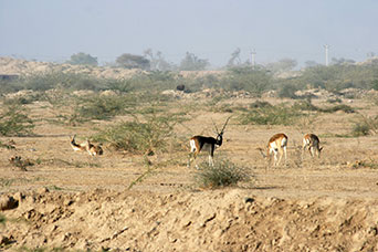 Rajasthan
