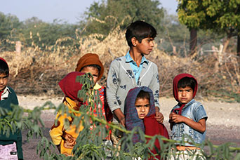 Rajasthan
