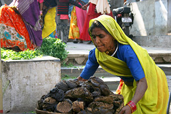 Rajasthan