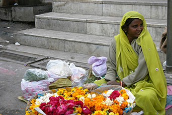 Rajasthan