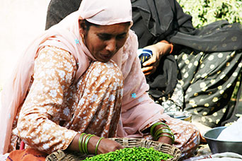 Rajasthan