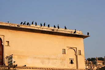 Rajasthan