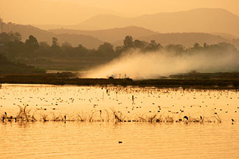 Rajasthan