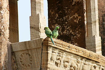 Rajasthan