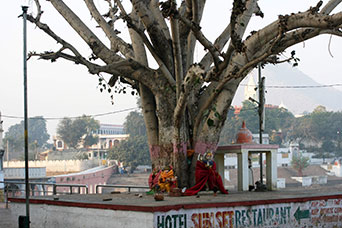 Rajasthan