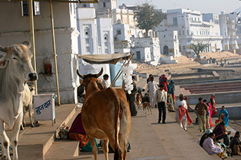 Rajasthan