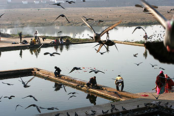 Rajasthan