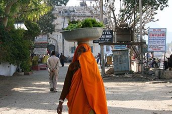 Rajasthan